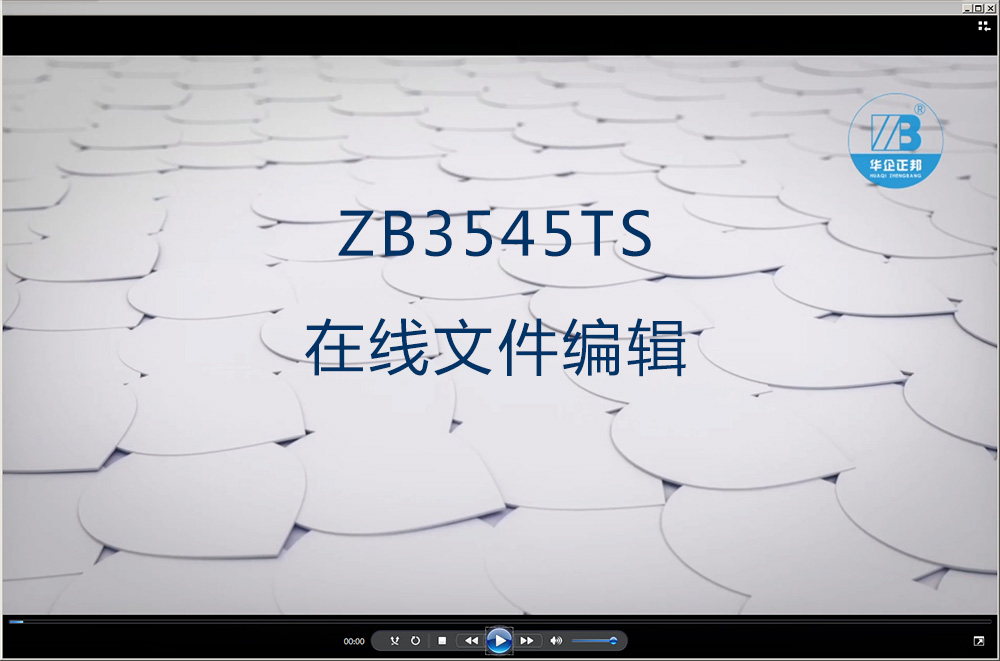 15. ZB3545TS在线文件编辑-Zhejiang Huaqi Zhengbang Automation Technology Co